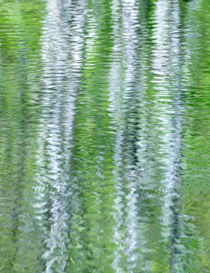 Water Reflections #2, Acadia National Park, ME, 5/2017
