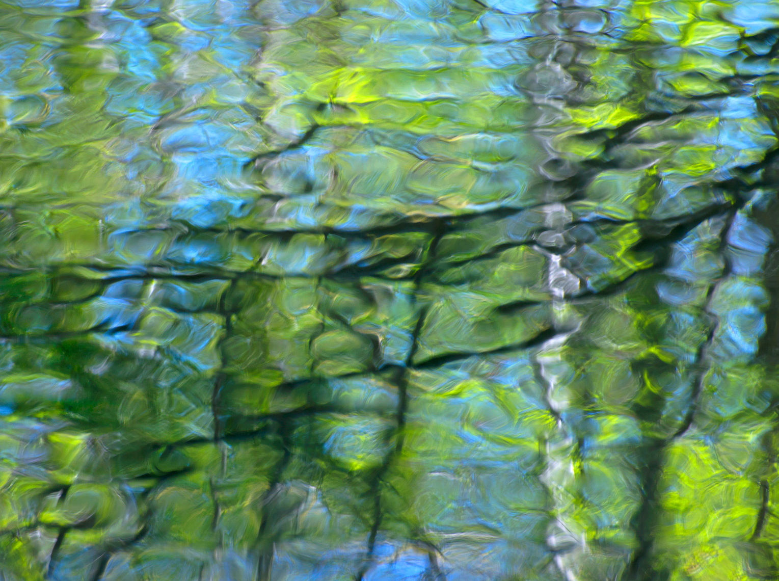 Water Reflections #5, Acadia National Park, ME, 5/2017