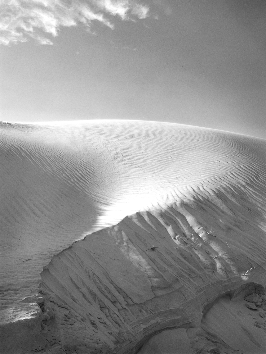Dune_EarlySpring_3-08