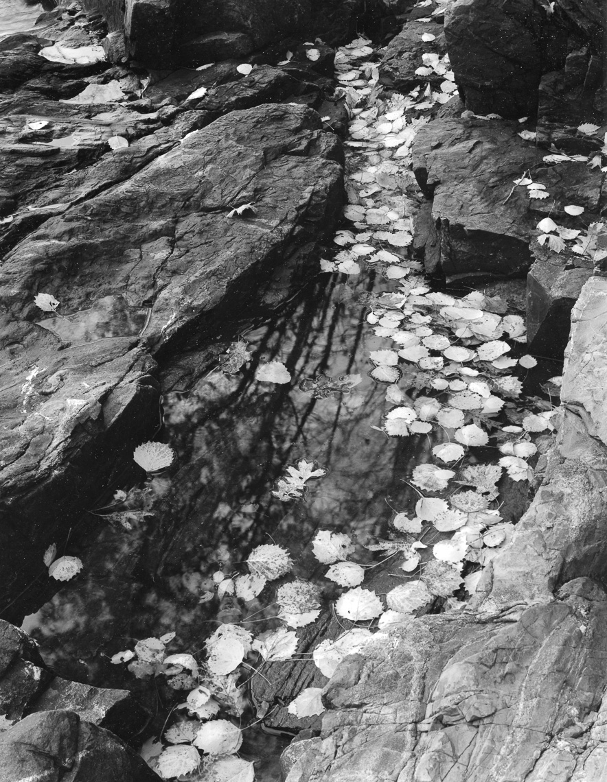 RainwaterPool_Coast_AcadiaNP_7-10