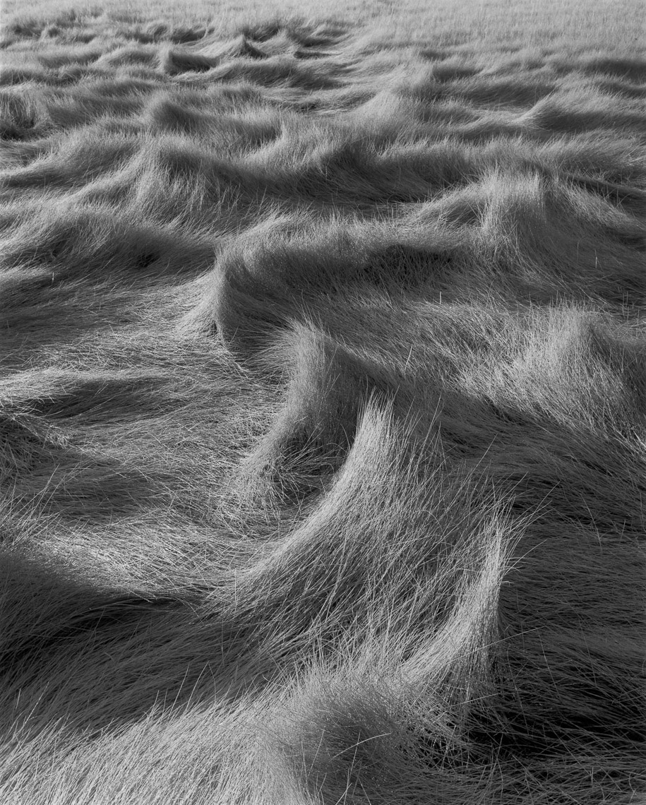 Salt-Hay-First-Light