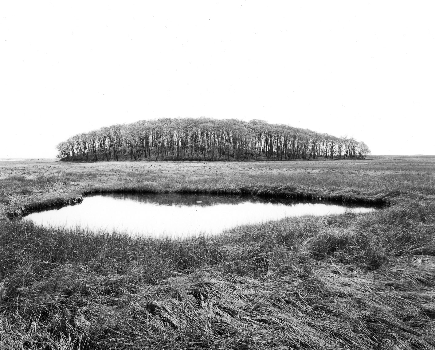Salt-Marsh-Island_Spring235