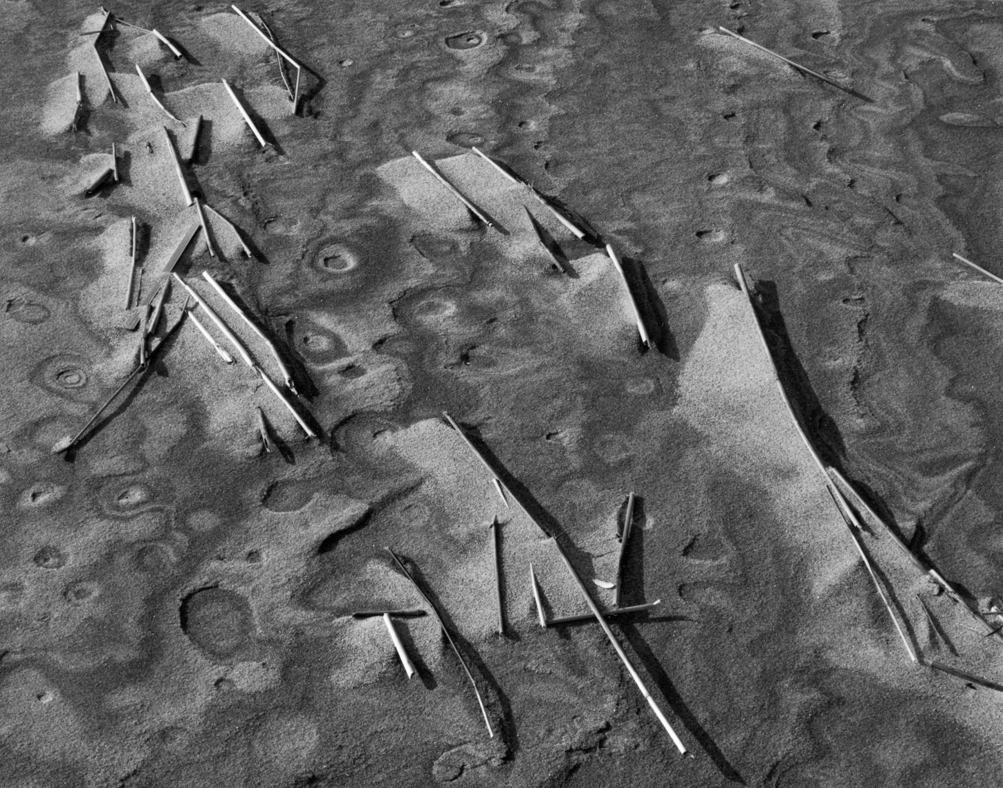 SandPattern05_CraneBeach_2-91